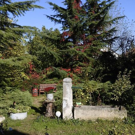 Villa-Magdi Vendeghaz Révfülöp Exterior foto