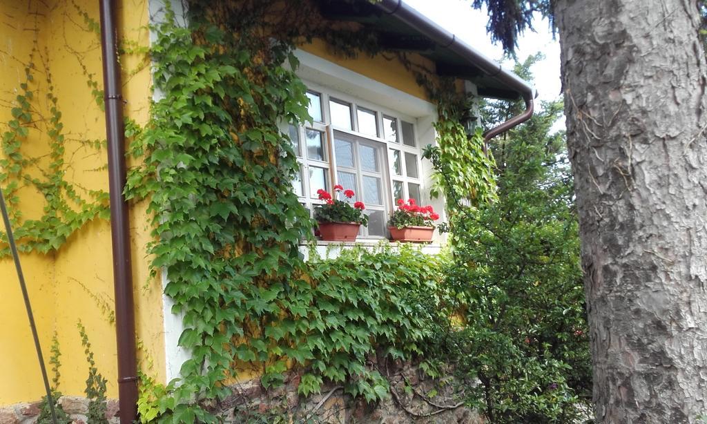 Villa-Magdi Vendeghaz Révfülöp Exterior foto