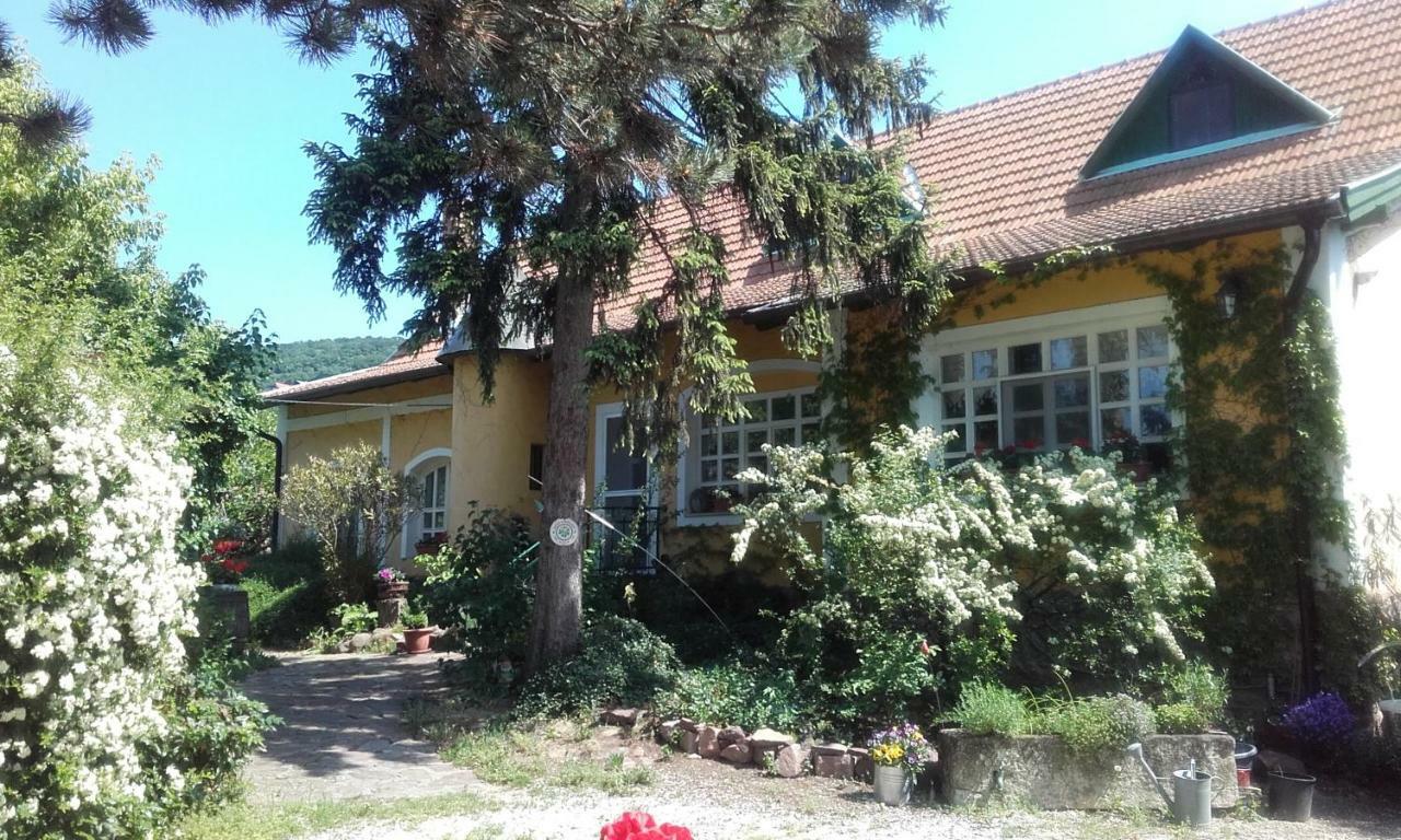 Villa-Magdi Vendeghaz Révfülöp Exterior foto